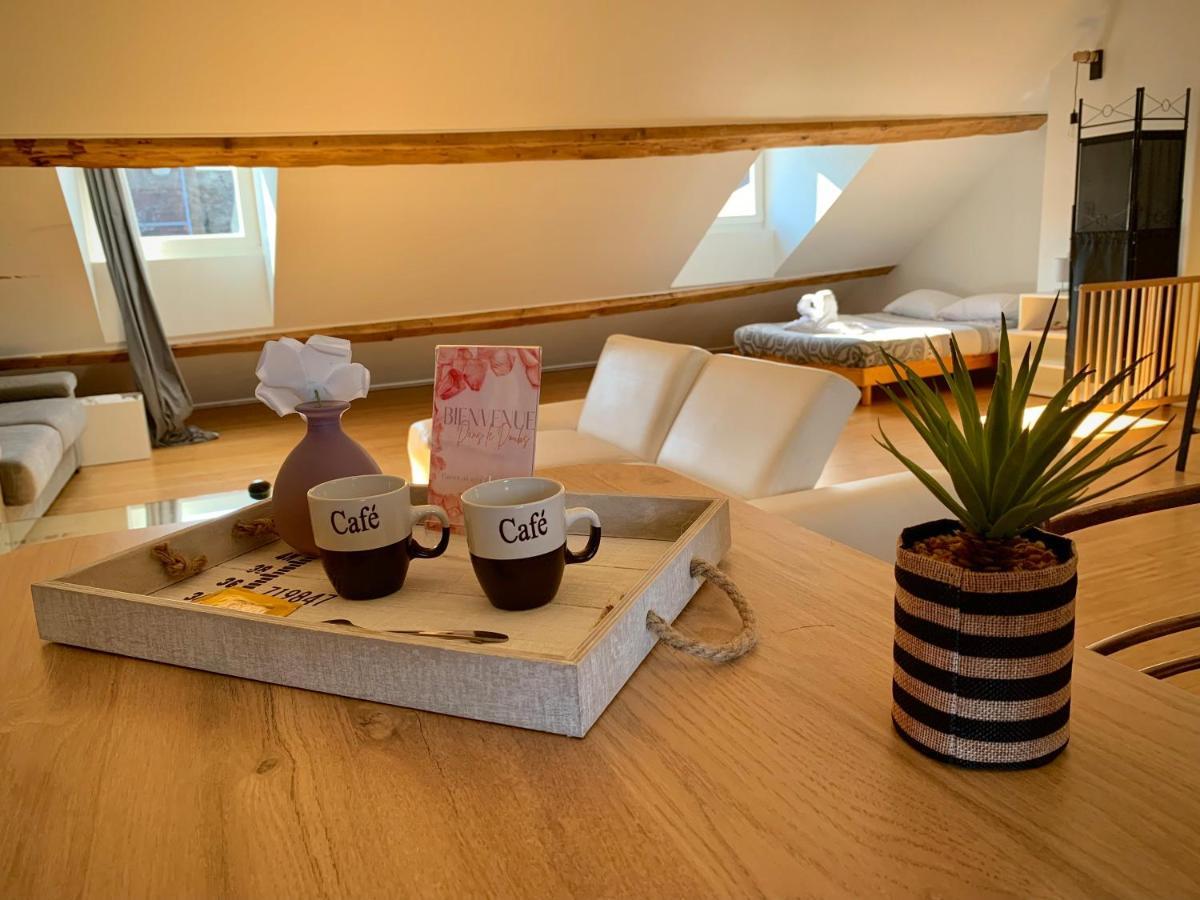 Les Fabuleux Appartements Du Coeur De Ville - Place Victor Hugo Besançon Zewnętrze zdjęcie