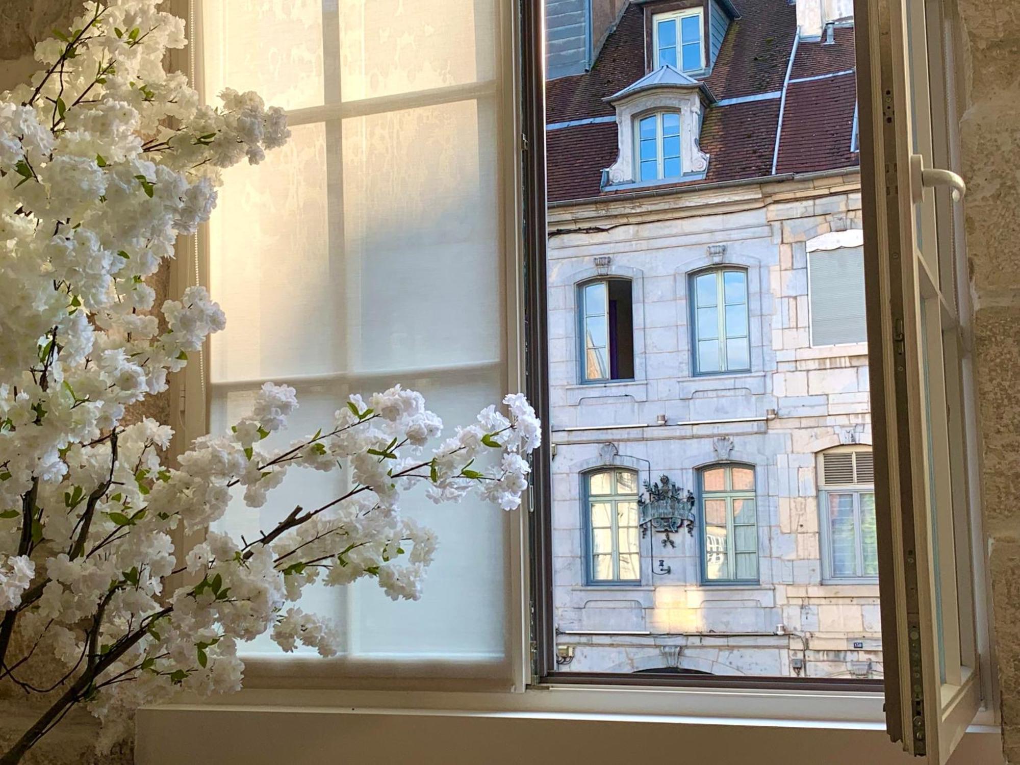 Les Fabuleux Appartements Du Coeur De Ville - Place Victor Hugo Besançon Zewnętrze zdjęcie